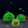 Simulation Water Grass Ball Realistic Artificial Water Plants Aquatic Plants Ball  Home