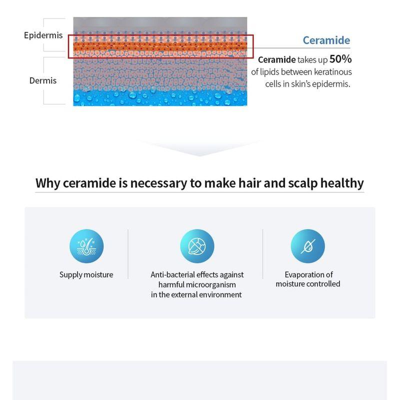 MASIL - 3 Salon Hair CMC Shampoo Stick Pouch