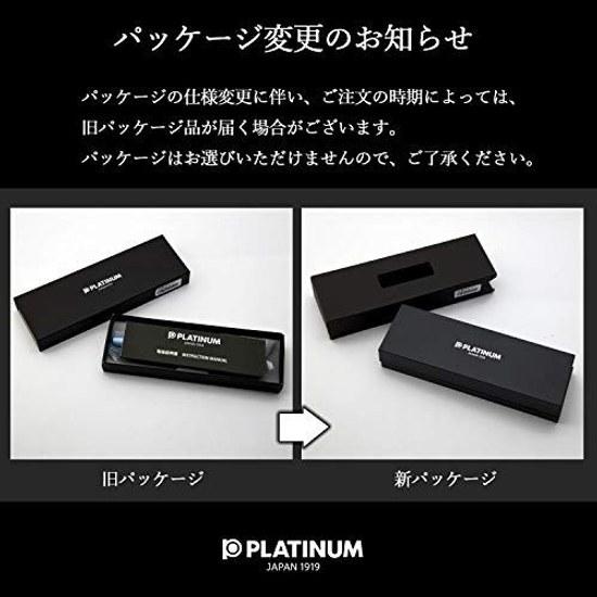 Platinum Fountain Pen Plaisir Fine Point Blue