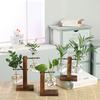 Simple and Creative Glass Vase with Wooden Stand for Hydroponic Cultivation (Type C)