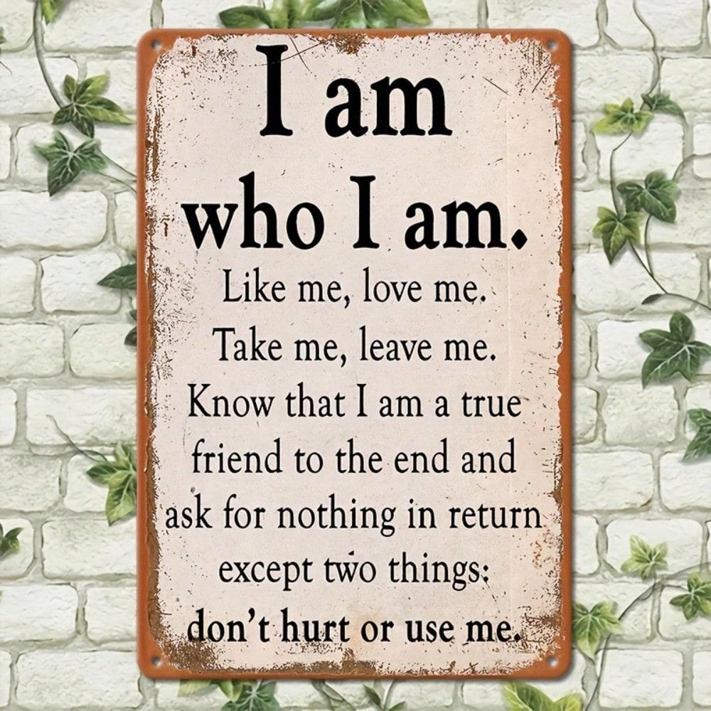 Retro Metal Paintings, Furniture, Living Room Decoration 20x30cm