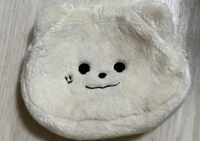 ASTRO Moonbin Doll Mozart Bin Face Pouch