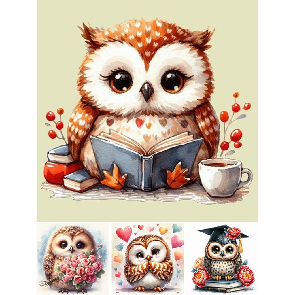 1pc DIY Paint by Number Kit Owl Frameless Canvas Wall Art Gift Idea 20x20cm