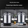 Danzhiyuan Large Capacity Explosion-Proof Pressure Cooker