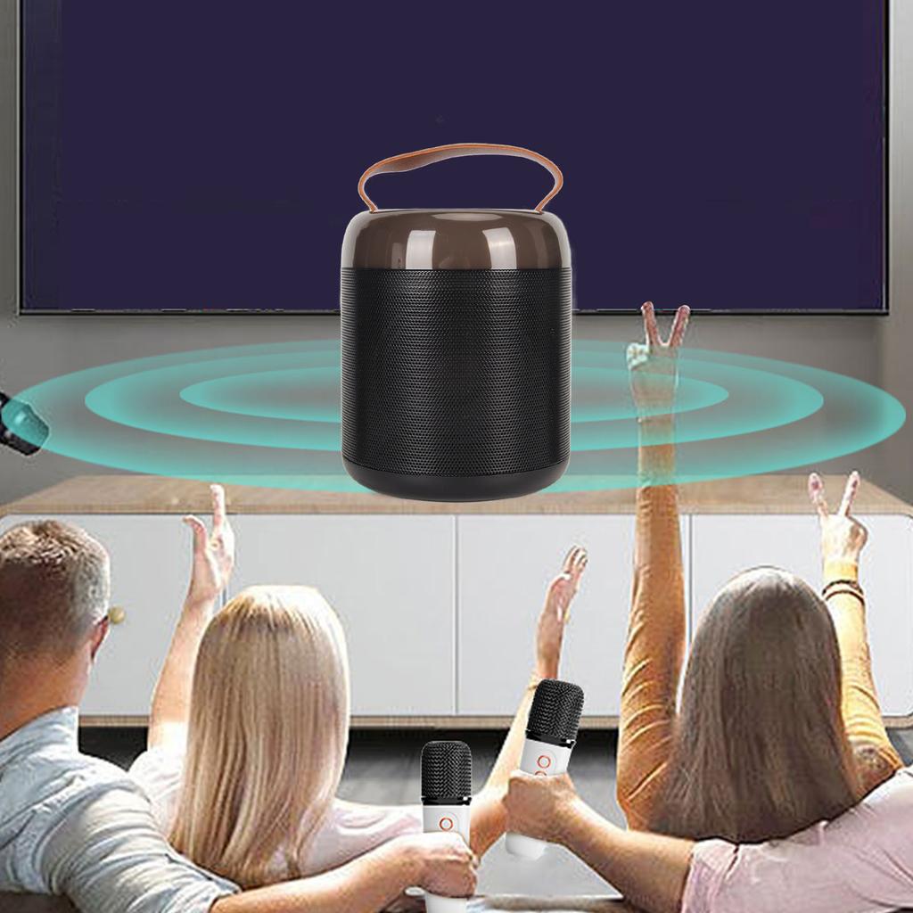 Wireless Karaoke Speakers RGB Light  5.3 Speaker with 2 Wireless Microphones Portable Karaoke Machine for Family Party