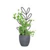 Trellis For Potted Plants Plant Trellis Indoor Mini Garden Trellis For Climbing Plants Plant Trellis Flower Potted Plant Support