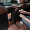 Three-Layer Elastic Car Seat Organizer Bag - Mesh Pocket Storage Net