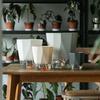 Self-Watering Plastic Flower Pot