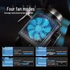 NANLITE Forza 300 II & 300B II LED Video Lights