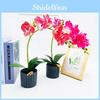 Potted Simulated Phalaenopsis Artificial Flower Desktop Ornament Decoration