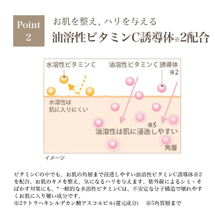[Gold Leaf Cosmetics] Kinka Gold Capsule EX N (Beauty Capsules Containing Oil-Soluble Vitamin C Derivative)  Contains Gold Leaf from Hakuichi,