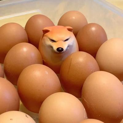 Fun Shibako Dog Egg Squishy Fidget Toy Shiba Inu Realistic Shape Dog Egg Toy PU Slow Rebound Desk Decor Gift