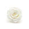 P-1  21 Preserved Roses in a Box Wedding Decor Floral Arrangements Wedding Dried Flower Home Decor Baby Shower Flowers 2~3cm