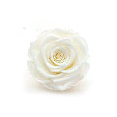 P-1 21 Preserved Roses in a Box Wedding Decor Floral Arrangements Wedding Dried Flower Home Decor Baby Shower Flowers 2~3cm