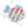 20 pcs PVC Anti Slip Bathtub Decal 3.15*4.33 in Cartoon Bathtub Stickers  Bathrooms