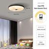 Oeny Retro Glass Ceiling Lamp