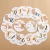 Little Bear Milestone Cards: 1-12 Months & Hundred Days Commemorative Photo Props