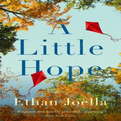A Little Hope by Ethan Joella Paperback Book 9781739638245