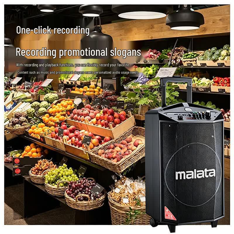 Malata L8 Outdoor Portable Bluetooth Karaoke Speaker (CN Version)