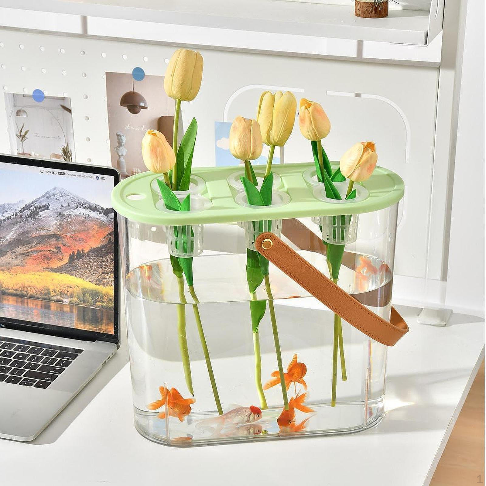 

Гидропонный гроубокс Настольный микроландшафтный бак Прозрачный плантатор зелёный