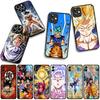 Hülle für Apple iPhone 17 16 11 Pro XS Max XR 6 7 8 Plus 16E SE 2020 Air 5 SE2 Handyhülle Son Gohan Drachen Gokus Bälle