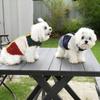 Autumn and Winter Dog Clothing Warm Thicken Fleece Pet Jacket for Dogs Soft and Comfortable Puppy Clothes Pet Products