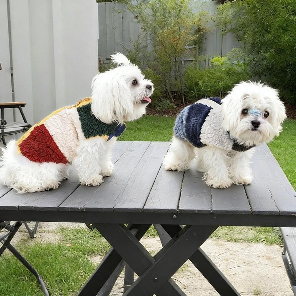 Autumn and Winter Dog Clothing Warm Thicken Fleece Pet Jacket for Dogs Soft and Comfortable Puppy Clothes Pet Products