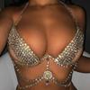 Sexy Luxury Rhinestone Body Chain Chest Chain Jewelry, Fashion Bikini Claw Chain Bra Nightclub Clothing