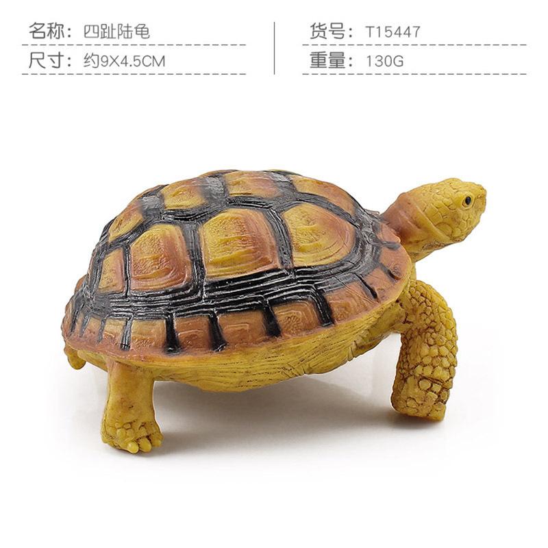 Simulation Amphibian Reptile Model Tortoise Tortoise Star Tortoise Static Decoration Cognitive Ornament Toy