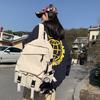 Korean Version of New Large Capacity Student Backpack, Trendy and Cool Campus Backpack, Simple and Casual Travel Backpack