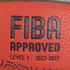 Molten Eurobasket 2025 Model Basketball, Synthetic Leather, Size 5, B5G3800-E5Z