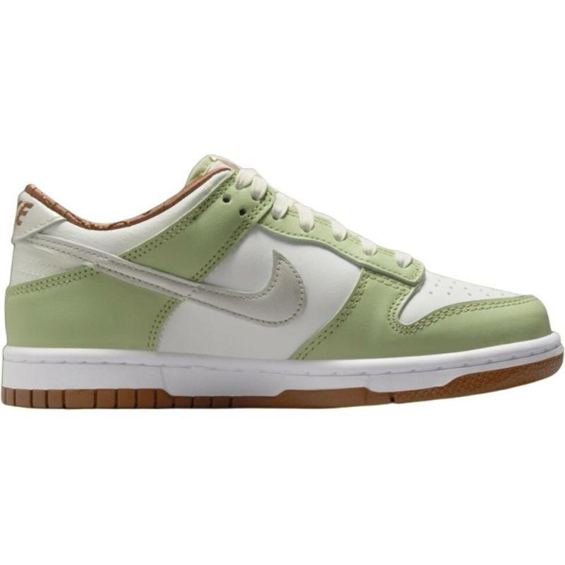 Nike Dunk Anti Slip Wear Resistant Low Top Kids' Skateboarding Shoes Green Sneakers HV6001-101
