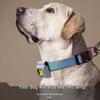 Rechargeable Clip-On Mini Chest Light for Night Running and Outdoor Sports