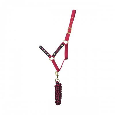 Little Rider Riding Star Collection Horse Headcollar and Leadrope