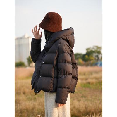 Cloud Puff Down Cotton Clothing Women's New Short Hooded Thickened Warm Fashion Bread Clothing Light Luxury Jacket