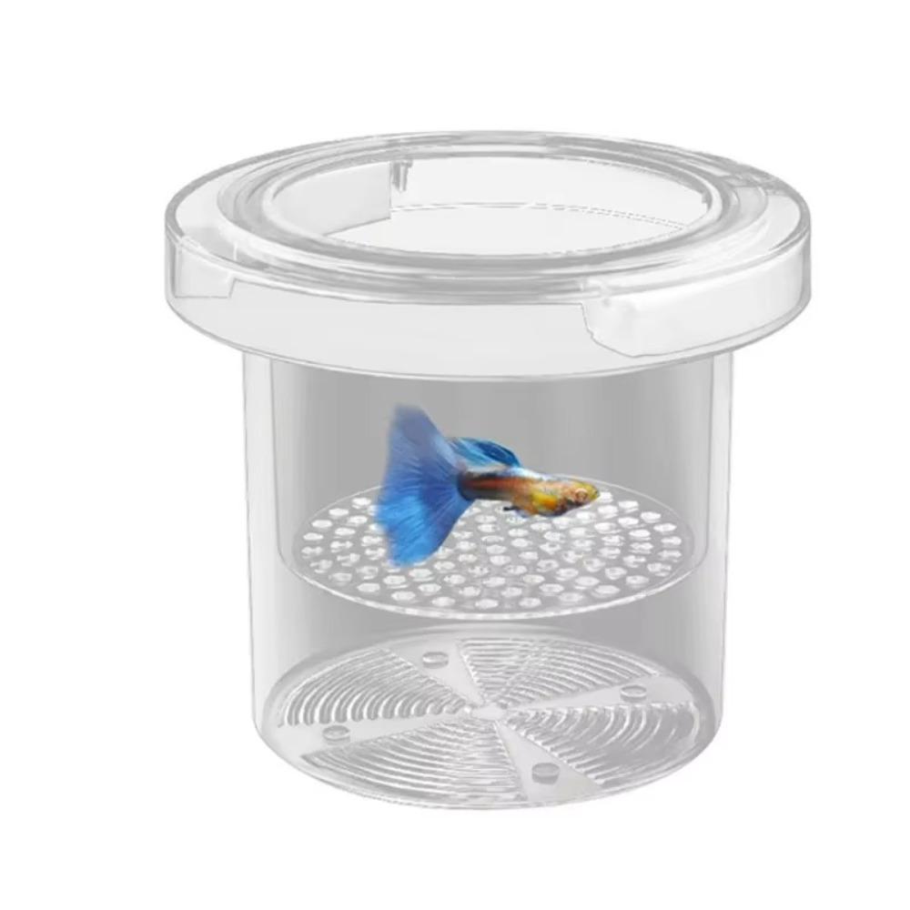 Acrylic Aquarium Isolation Box  for Aquarium Hatchery Accessory