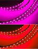 Colorful LED Underbody & Interior Lights with Sound Control for Off-road Vehicles
