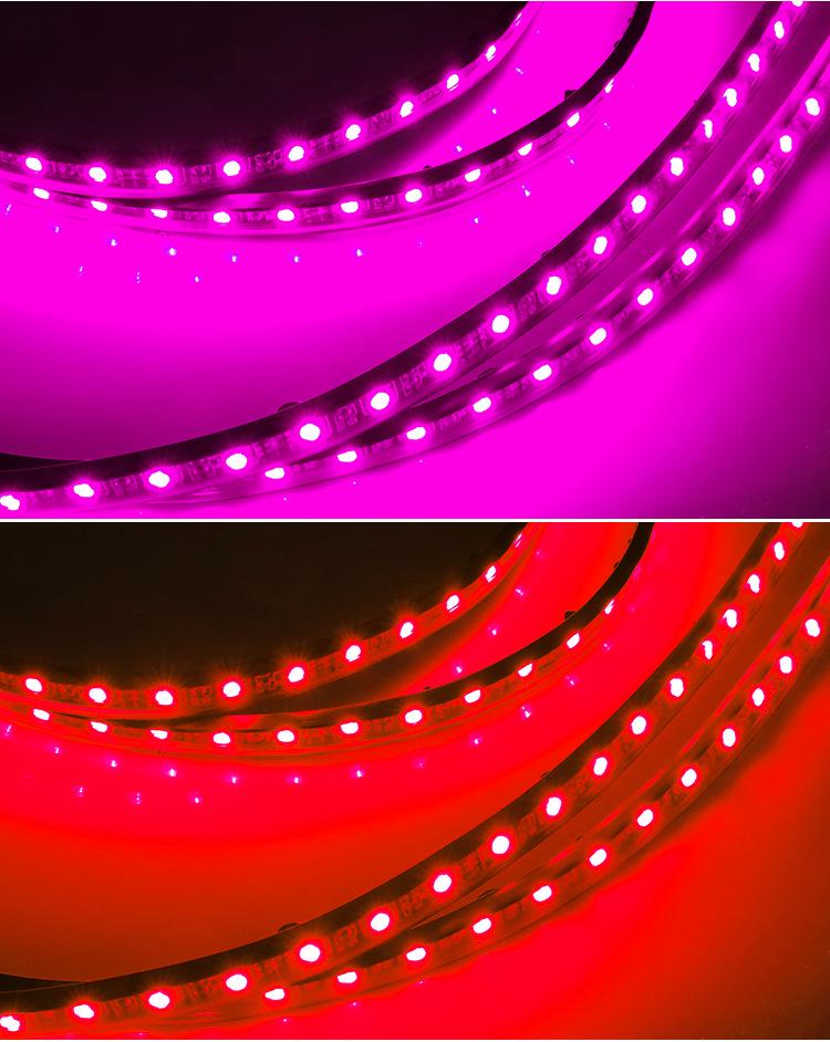 Colorful LED Underbody & Interior Lights with Sound Control for Off-road Vehicles