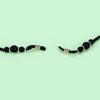 Gifts Ropes Fashion Imitation Pearls Chains Glasses Cord Holder Eyeglass String Sunglasses Strap