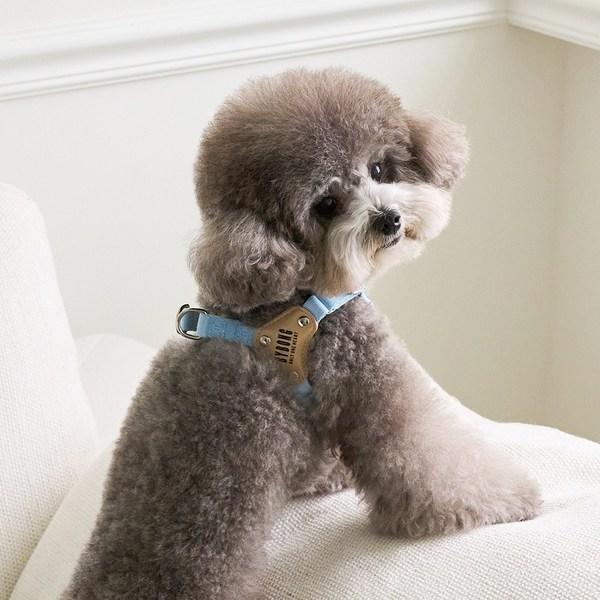 Bai Bong Puppy Light Bear Harness, Sky Blue