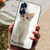 Per Custodia Realme C55 Silicone Morbido TPU Cover Posteriore per Oppo Realme C55 Telefono Globale Custodie Realme C 55 4G 6.72" Protezione Cover Borse