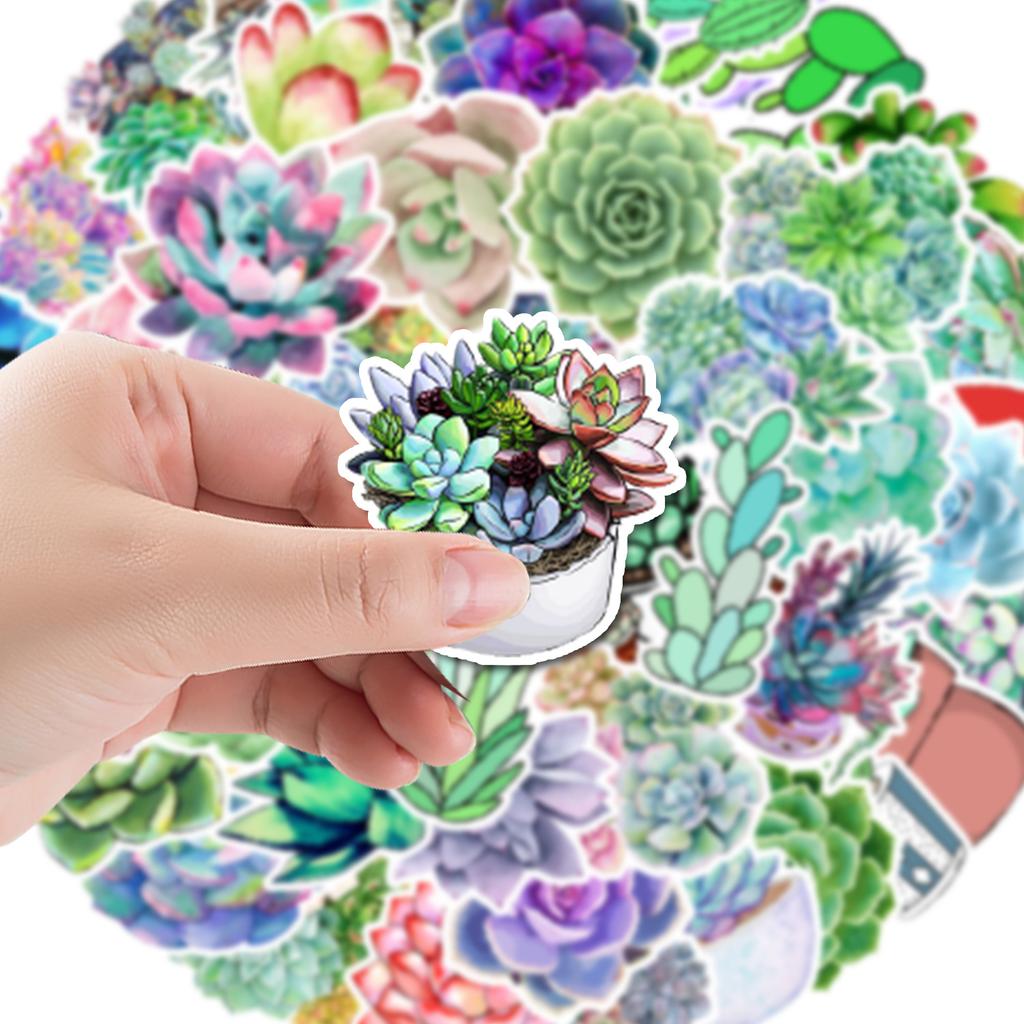 50 Succulents Doodle Stickers Suitcase Car Notebook Refrigerator Water Cup Waterproof Decorative Stickers