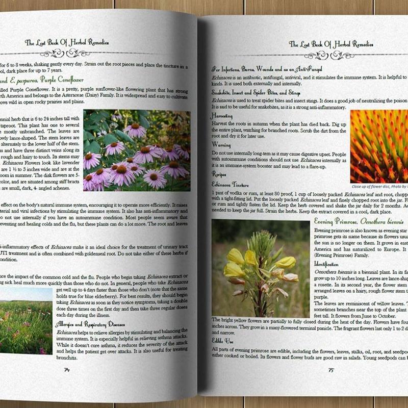 The Lost Book Of Herbal Remedies The Healing Power Of Plant Medicine Colored Inner Pages Paperback Contains Colored Images