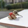 Cartoon Cat Dog Keychain Pendant Hangings Decoration Bag Backpack Bag Charm