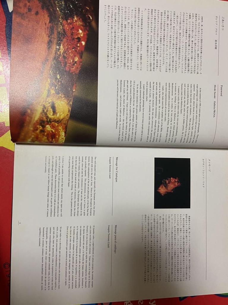 [USED] J. Torrentz Llado Art Collection: Spanish Paintings, Hardcover