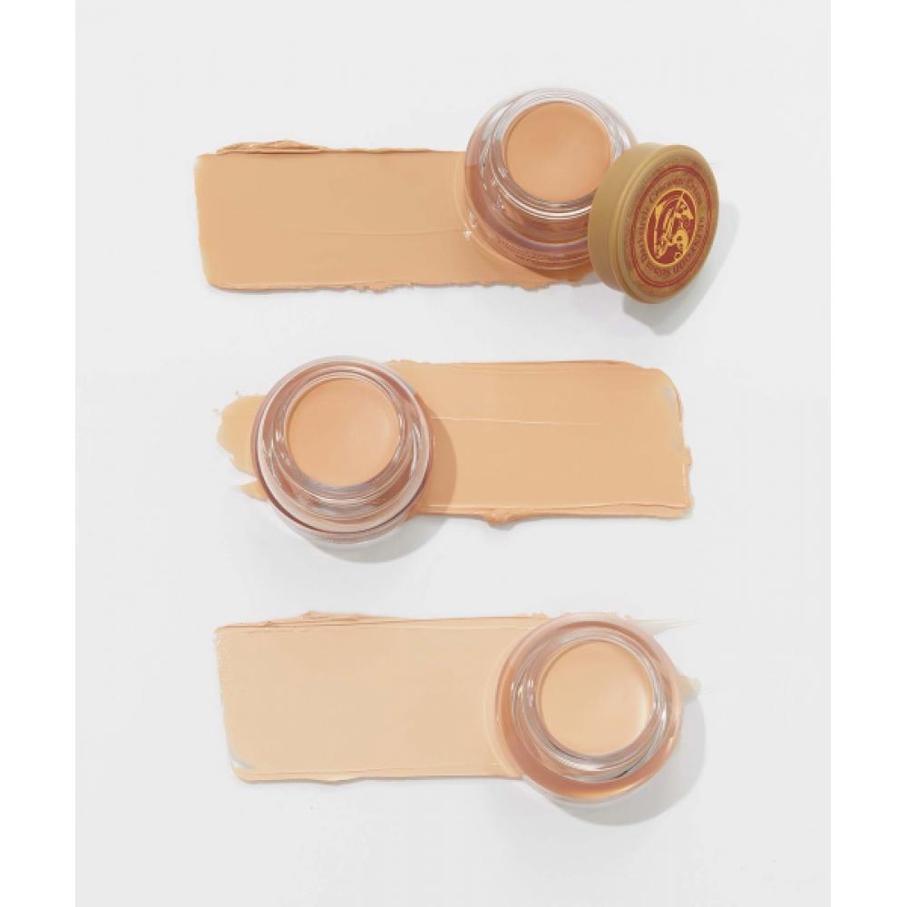 Skinfood [2pcs] Salmon Dark Circle Concealer  3 Colors No. 0 (light)
