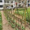 Yishunda Multi-Purpose Bamboo Poles