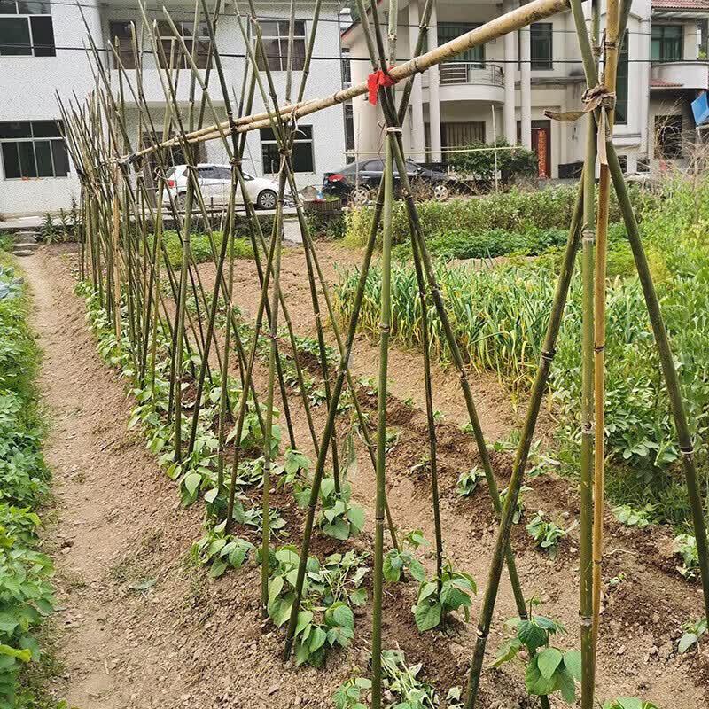 Yishunda Multi-Purpose Bamboo Poles