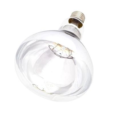 Intelec Hard Glass Infra-Red Bulb