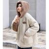 Manteau d'hiver chaud en peluche pour femme, veste à capuche épaisse, grande taille, polyvalente, courte, ample, en laine d'agneau
